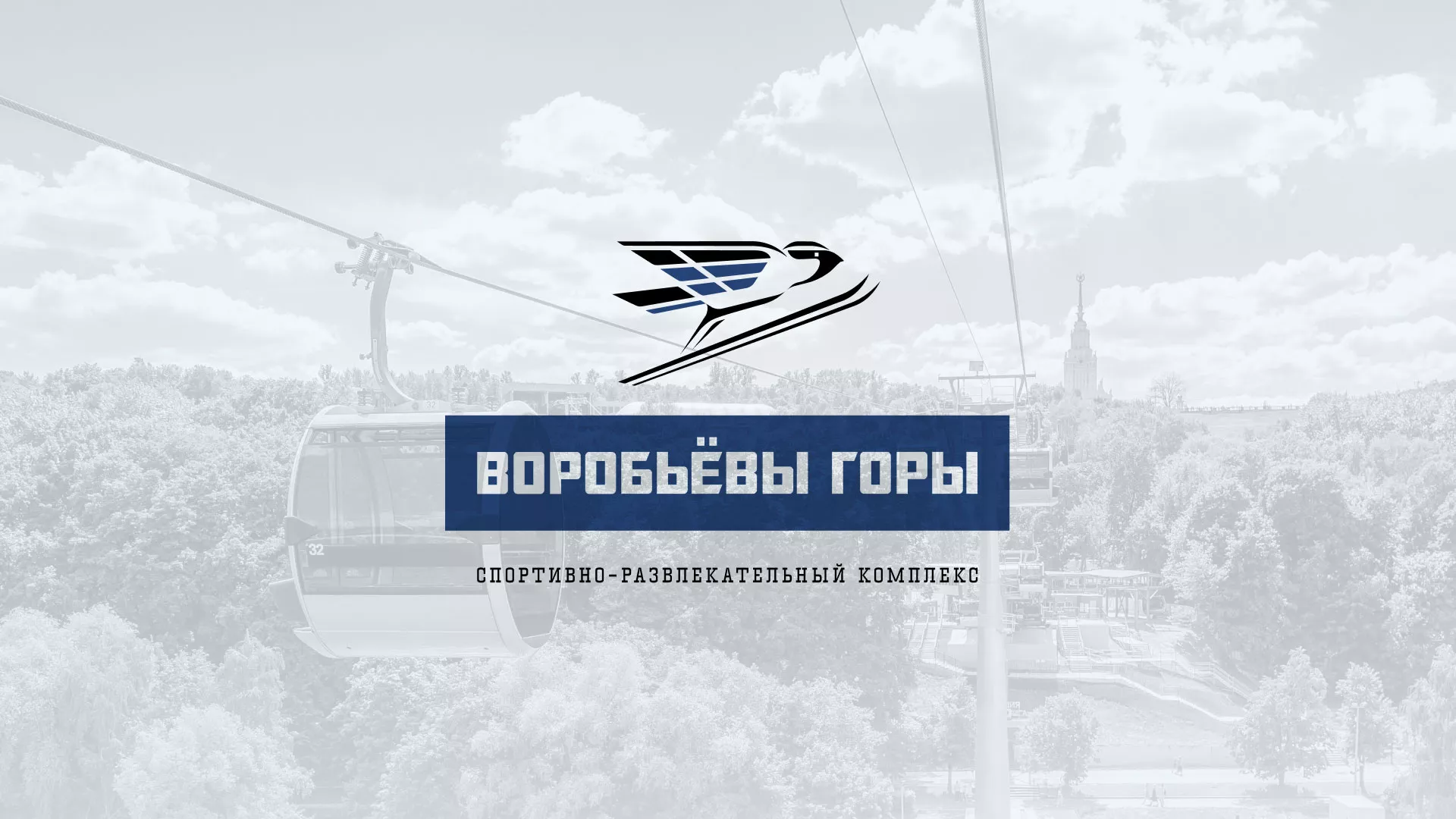 Разработка сайта в Сосенском для спортивно-развлекательного комплекса «Воробьёвы горы»